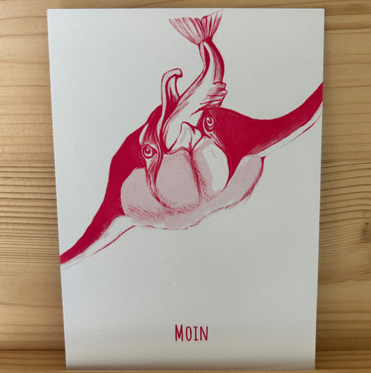 Moin sagt der Pinguin