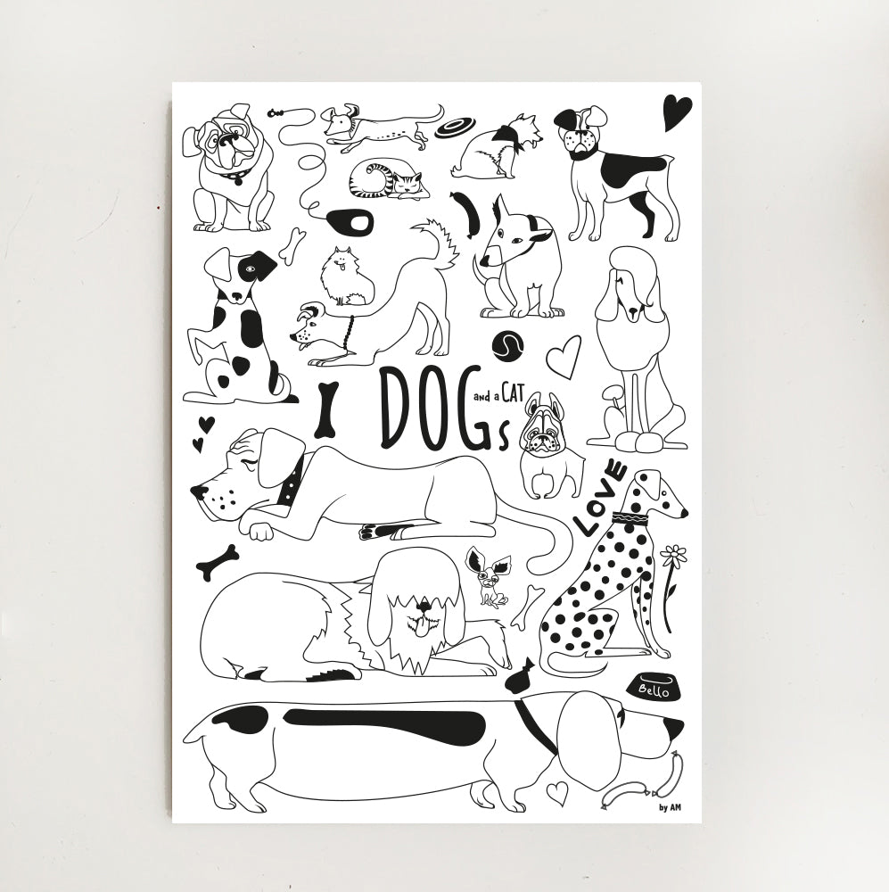Dogs and a cat