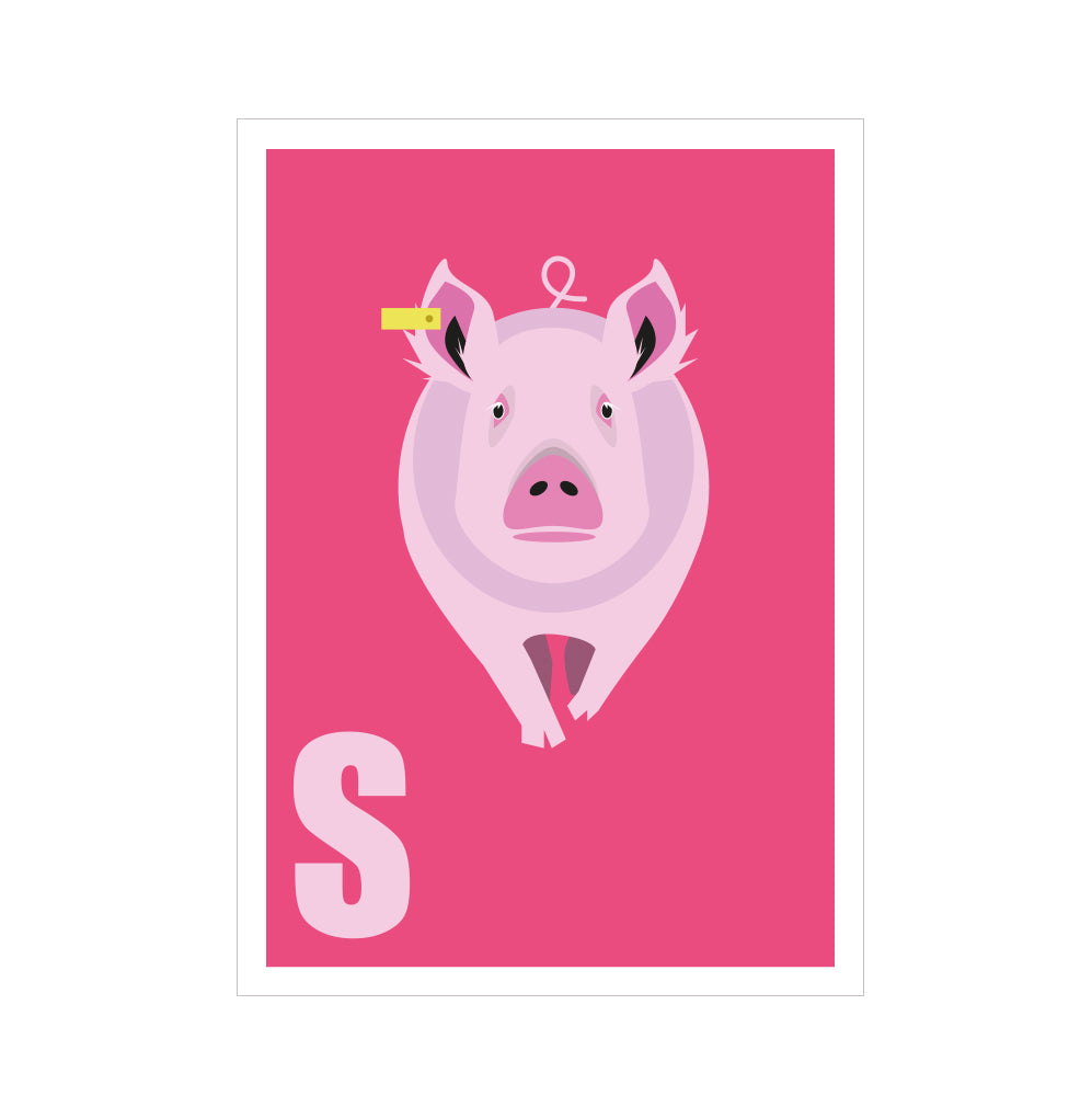 S wie Siggi