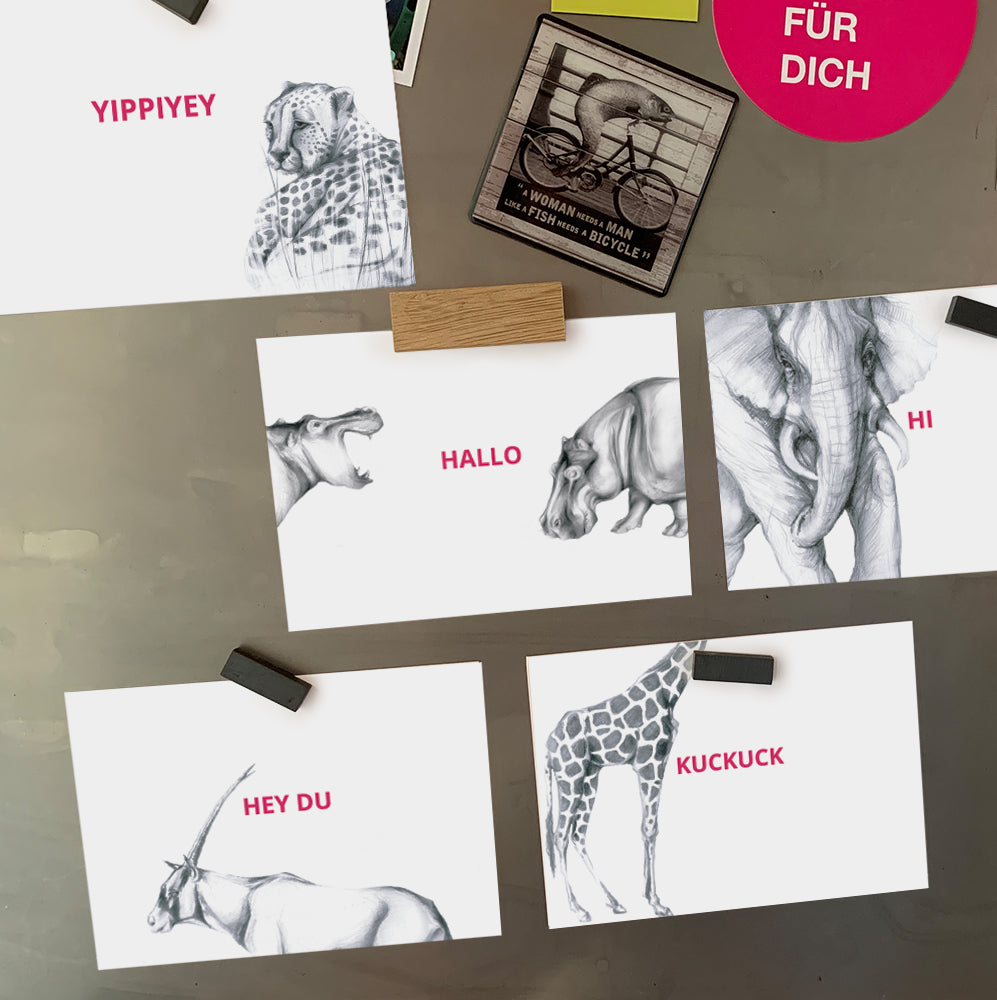 Hi sagt der Elefant
